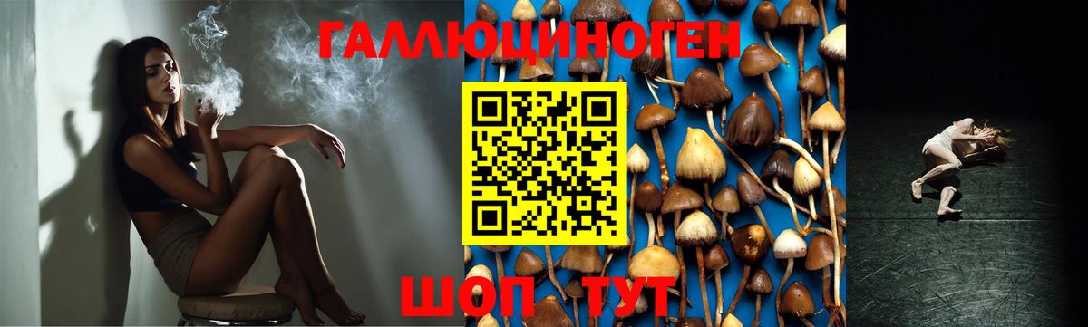 Галлюциногенные грибы мицелий  Псилоцибиновые грибы Psilocybe  Вход с VPN  Клин 